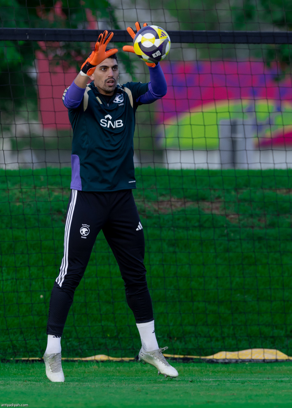 الأخضر يعود