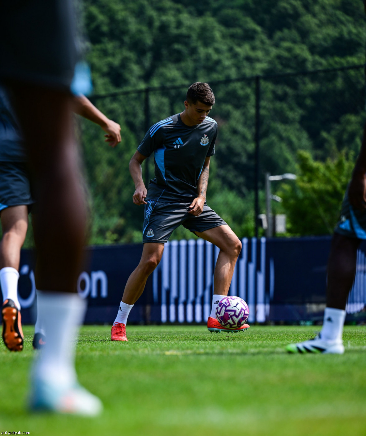 نيوكاسل.. نهاية الجولة