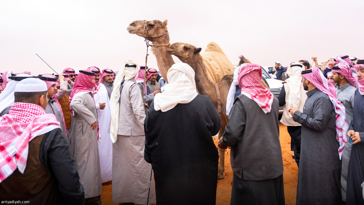 مسيرة وتأجيل