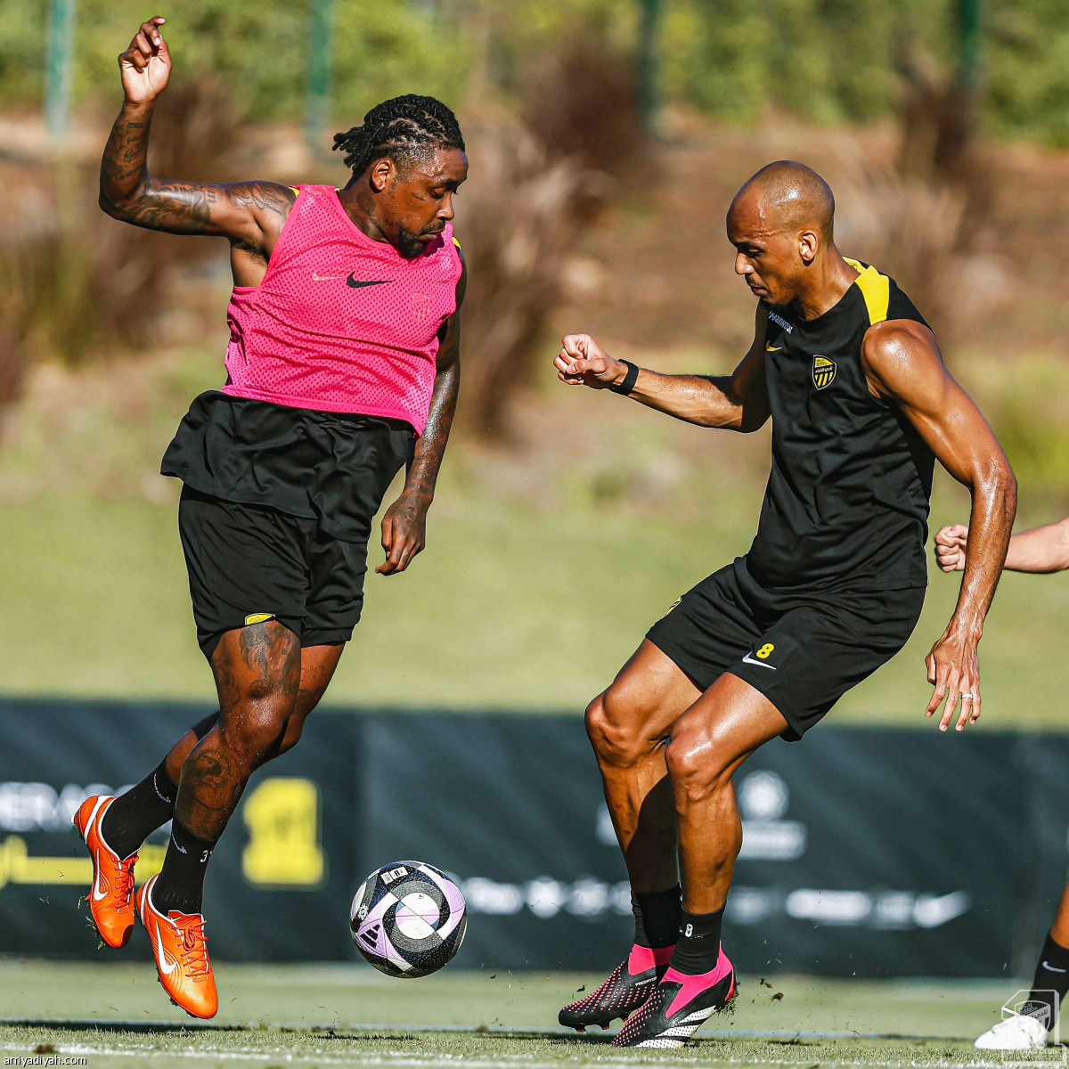 استنفار النمور