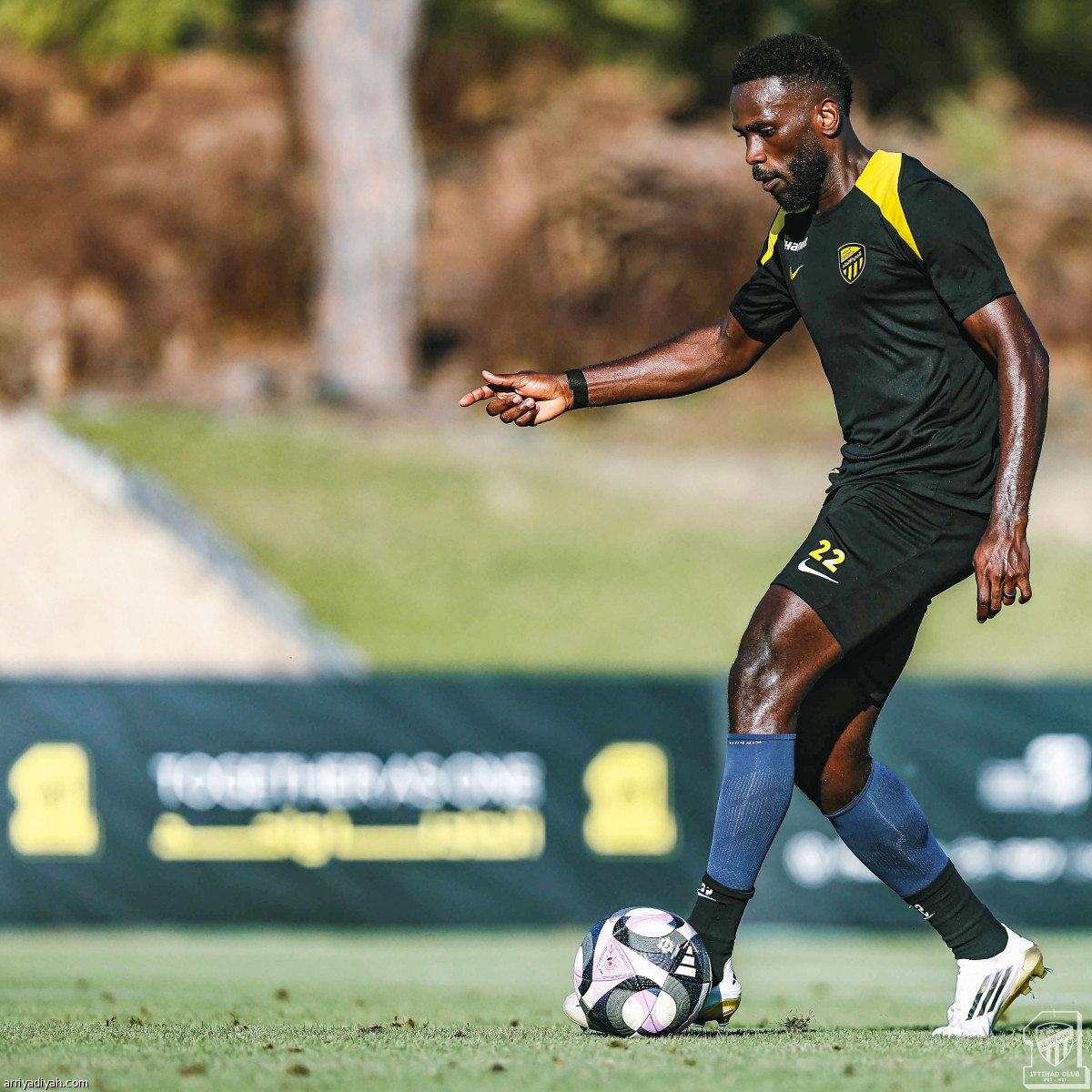 استنفار النمور